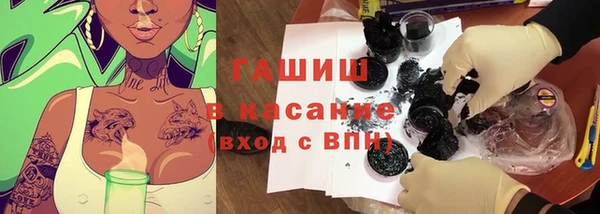 стаф Богородск