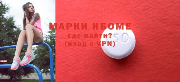 твердый Арсеньев