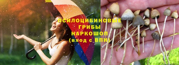 прущая мука Армянск